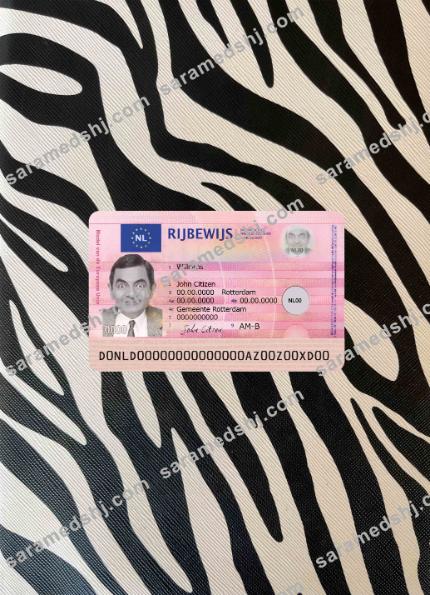 Netherland new driving license photolook FRONT